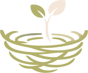 Kind Nest Academy